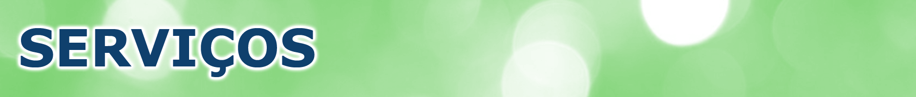 Serviços